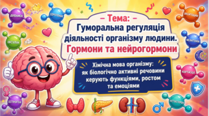 Гуморальна регуляція діяльності організму людини.Гормони та нейрогормони