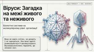 Віруси: Молекулярний рівень організації життя