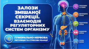 Залози змішаної секреції.Взаємодія регуляторних систем організму людини