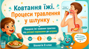 Ковтання їжі.Процеси травлення у шлунку