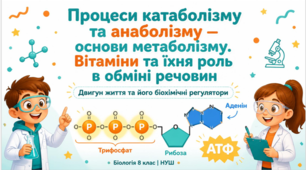 Процеси катаболізму та анаболізму - основи метаболізму.Вітаміни та їхня роль в обміні речовин