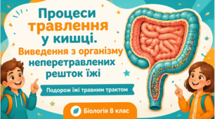 Процеси травлення у кишці.Виведення з організму непетравлених решток їжі.