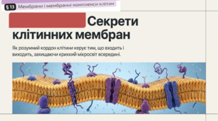 13. Мембрани і мембранні комплекси клітини