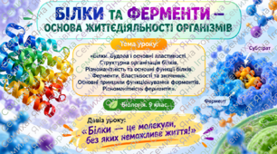 Білки. Будова, властивості та функції. Ферменти, їхні властивості та значення