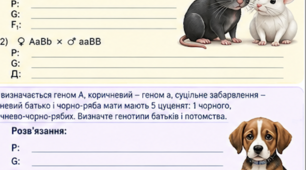 Контрольна робота з біології, 9 клас. «Закономірності спадковості та мінливості організмів» | 3 різнорівневі ілюстровані варіанти