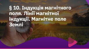 Індукція магнітного поля. Лінії магнітної індукції. Магнітне поле Землі