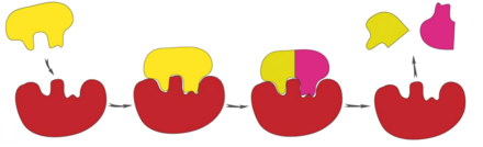 1100jnpl-e7e8-440x134.png