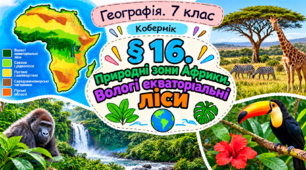 Природні зони Африки. Вологі екваторіальні ліси. Презентація, інфографіка, робочий аркуш