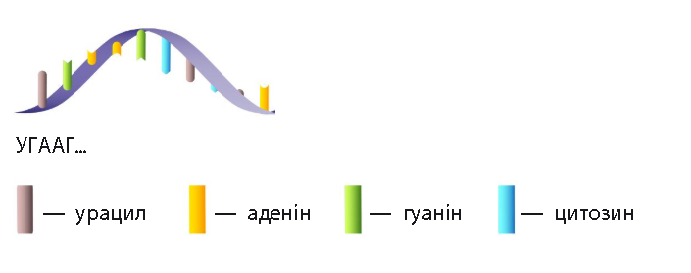 1100jpff-cf8c-716x283.png