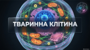 Тваринна клітина