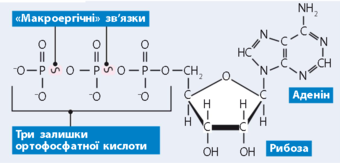 1100jxt5-975a-340x163.png