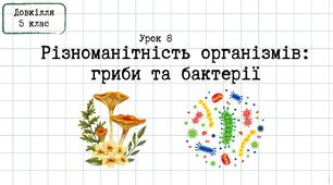 Довкілля 5 клас_Урок 8_Різноманітність організмів: гриби та бакетрії