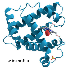 1100jyfq-8e73-404x387.png