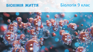 Підсумкова робота з теми " Біохімія життя" ( 9 клас НУШ)