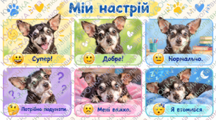 Самооцінювання та рефлексія