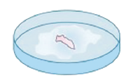 1100k0ek-6fab-187x114.png