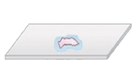 1100k0fv-2a24-196x99.png