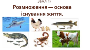 Репродукція як механізм забезпечення безперервності існування видів