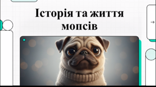 Відеоогляд "15 жовтня - День мопса"