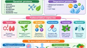 Біологічно активні речовини.