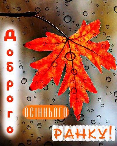 1100k8od-adc3-400x500.jpg