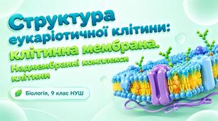 Презентація до теми: "Структура евкаріотичної клітини: клітинна мембрана, надмембранні комплекси". Біологія 9 клас НУШ