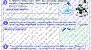 Лабораторне дослідження № 2 "Дослідження будови одноклітинних та зелених нитчастих водоростей"