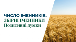 6 клас НУШ. Число іменників. Збірні іменники