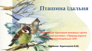 Пташина їдальня