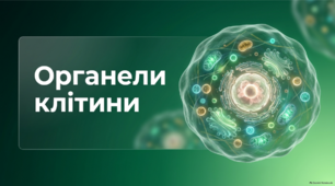 Органели клітини