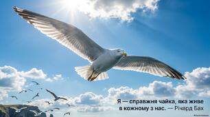 Презентація "Річард Бах. «Чайка Джонатан Лівінґстон».  Утілення прагнення до високої мети в образі чайки. "
