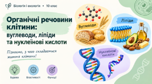 Органічні речовини клітини: вуглеводи, ліпіди та нуклеїнові кислоти.