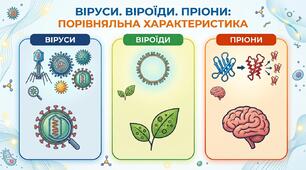 Інтерактивний тест «Віруси. Віроїди. Пріони: Порівняльна характеристика» (8 завдань: відповідності + сортування)