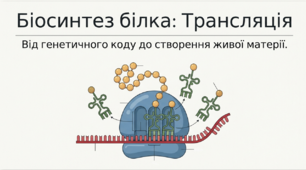 Презентація "Біосинтез білка. Трансляція" 10 клас (проф)