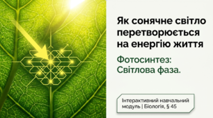 Презентація "Фотосинтез. Світлова фаза" 10 клас (проф)