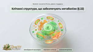 Презентація «Клітинні структури, що забезпечують метаболізм», 10 клас