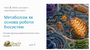 Презентація «Метаболізм як основа роботи біосистем», 10 клас