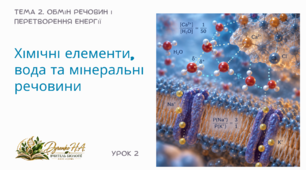 Презентація «Хімічні елементи, вода та мінеральні речовини», 10 клас