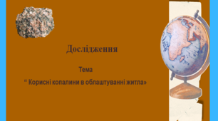 Дослідження “ Корисні копалини в облаштуванні житла"