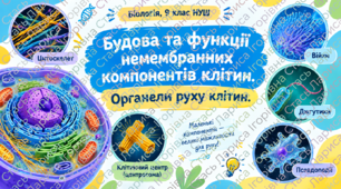 Матеріали до уроку. Будова та функції немембранних компонентів клітин (цитоплазма, цитоскелет, клітинний центр, веретено поділу). Органели руху клітин. (Інфографіка+Робочі аркуші+Зразок виконання) 9 кл НУШ