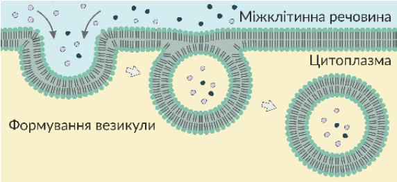 1100kwxj-c2e1-572x263.png