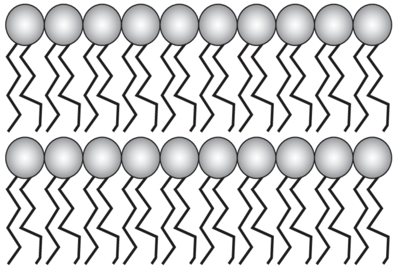 1100kwz8-7792-791x539.png