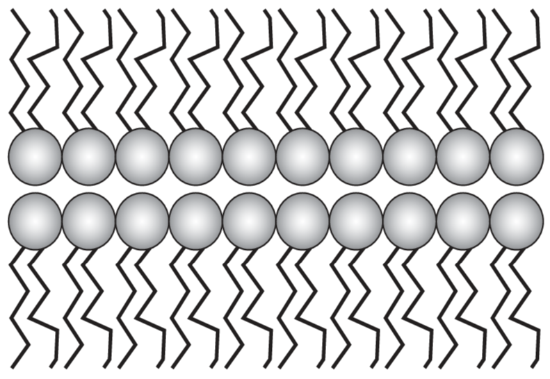1100kwze-24b1-791x546.png