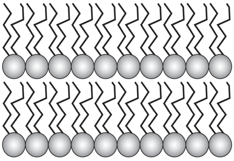 1100kwzh-c2f1-785x542.png