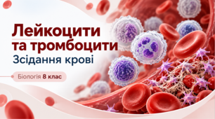 Презентація «Лейкоцити та тромбоцити. Зсідання крові»  Біологія, 8 клас.НУШ за підручником Тагліної