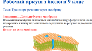 Робочий аркуш 9 клас біологія  «Транспорт речовин через мембрану»
