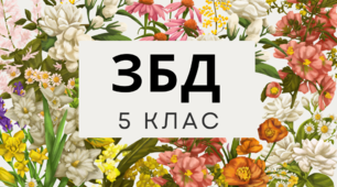 Підсумкова робота №1, ЗБД 5 клас. За підручником Н.І.Гущина.  (за параграфами1-3) НУШ