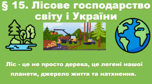 Презентація до уроку географії у 9 класі на тему «Лісове господарство світу і України»