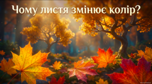 Чому листя змінює колір? - презентація
