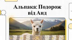 Альпака — унікальна свійська тварина з родини верблюдових